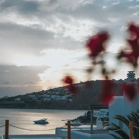 Mymykonos I Platys Gialos (Mykonos)